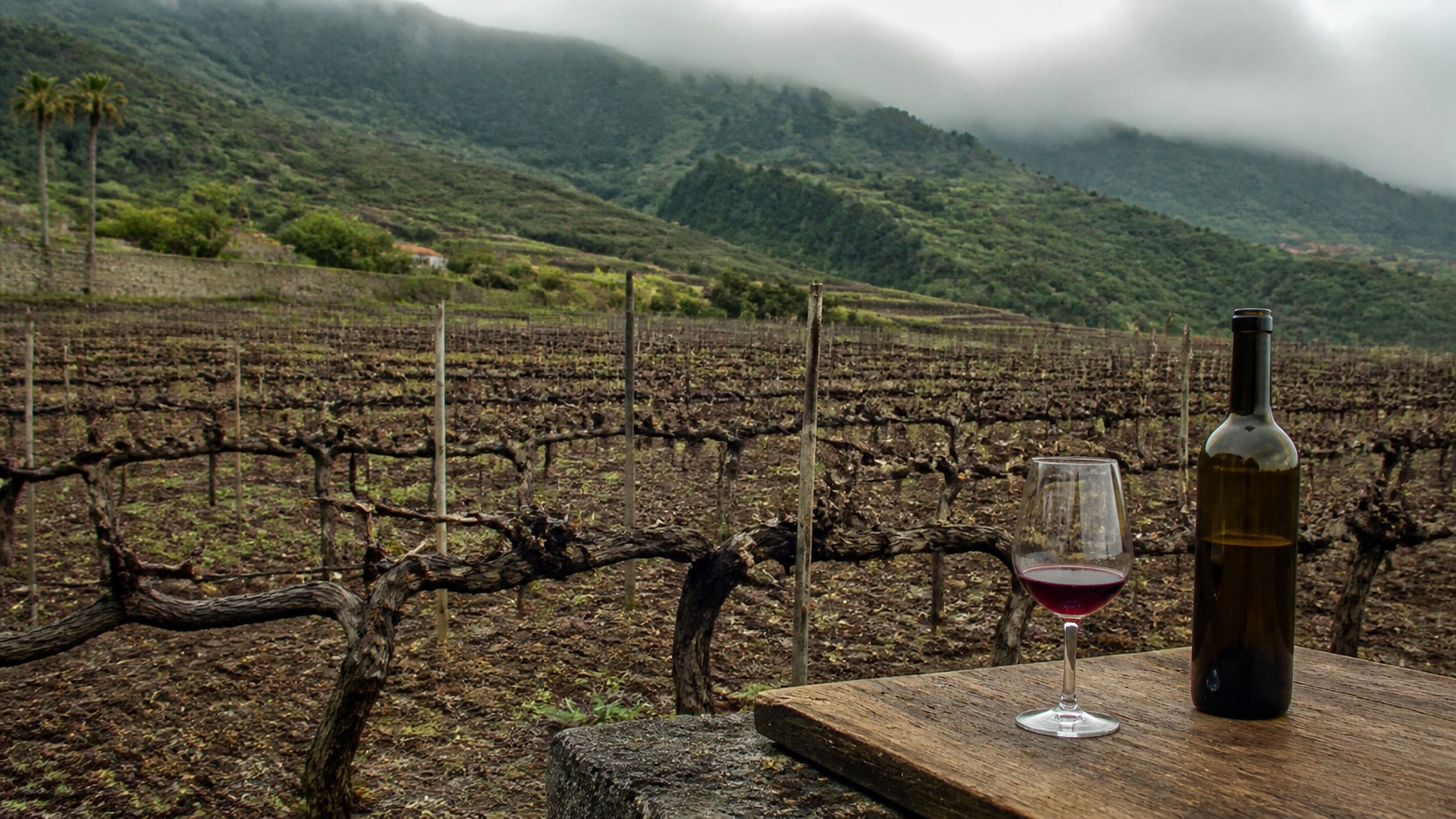 Vino del norte de Tenerife con castañas